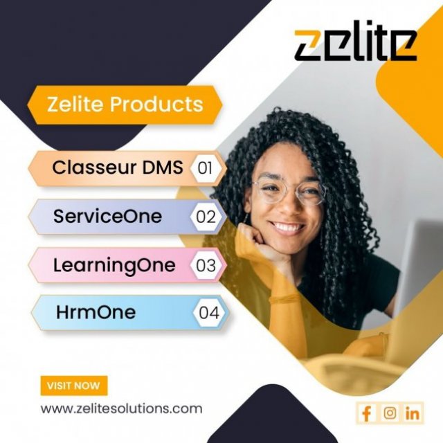 Enterprise Software Solutions by Zelite