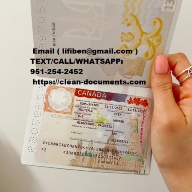 Passports, Driving License, International student identity card,