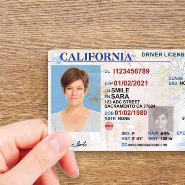 Id/Passport/IELTS/TOEFL/License/Diploma/Certificates
